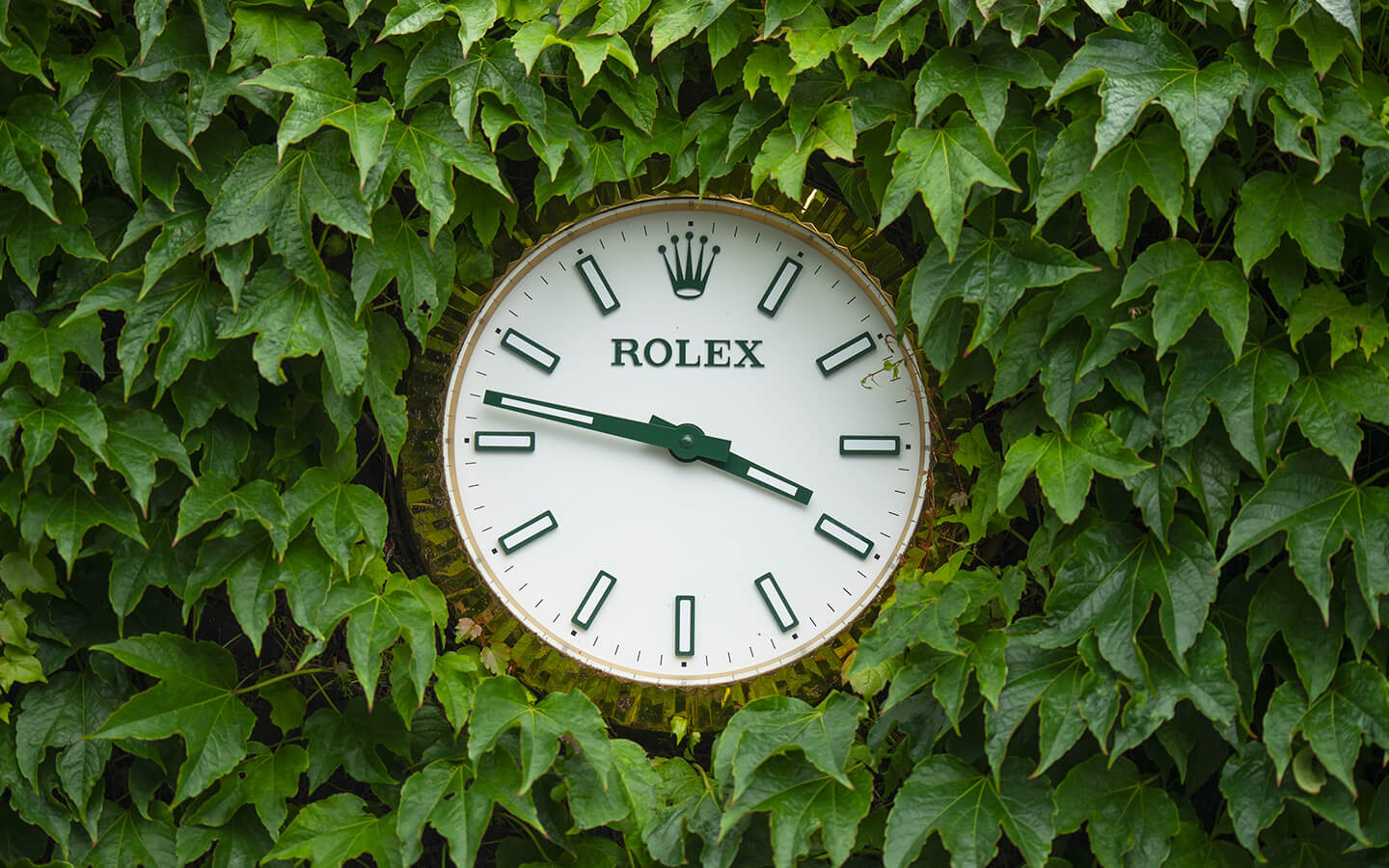rolex-and-the-championships-wimbledon rolex-and-the-championships-wimbledon
