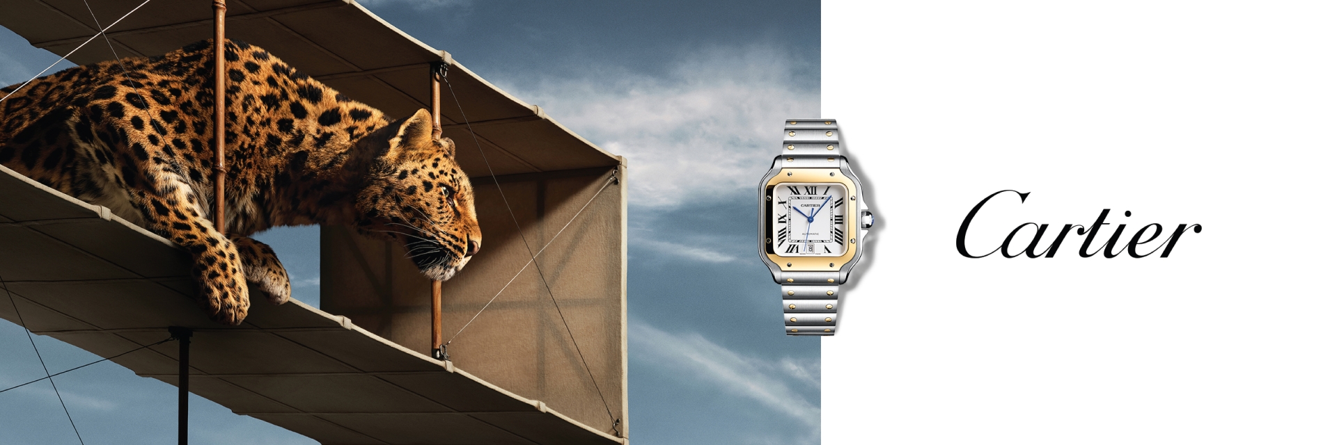 Cartier Watches