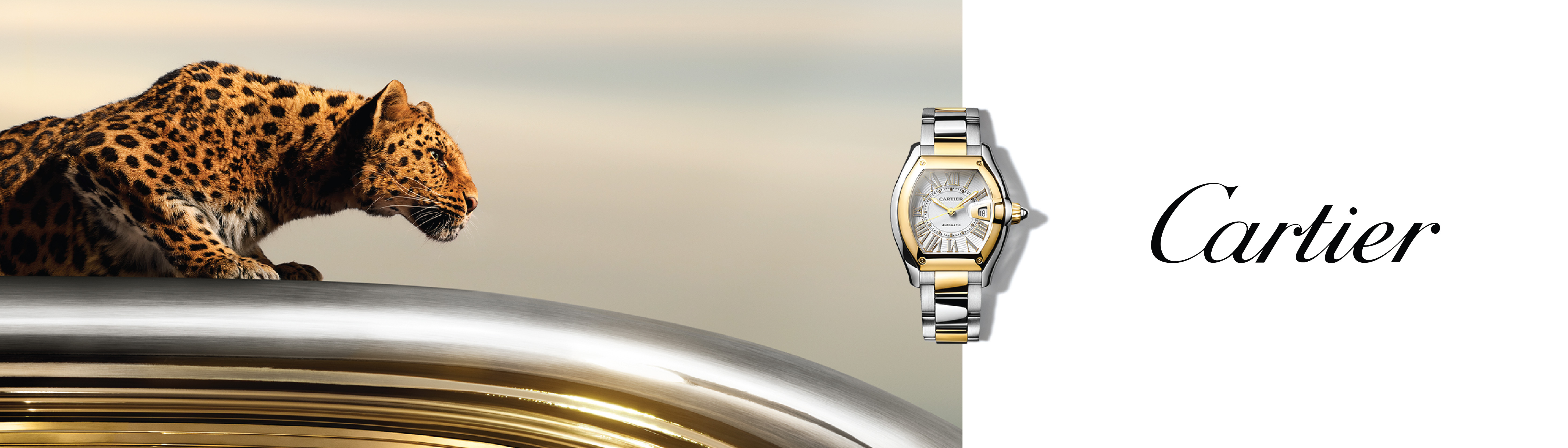 Cartier Cartier